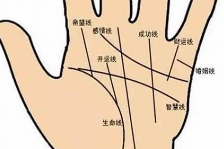 手上的财富线怎么看？