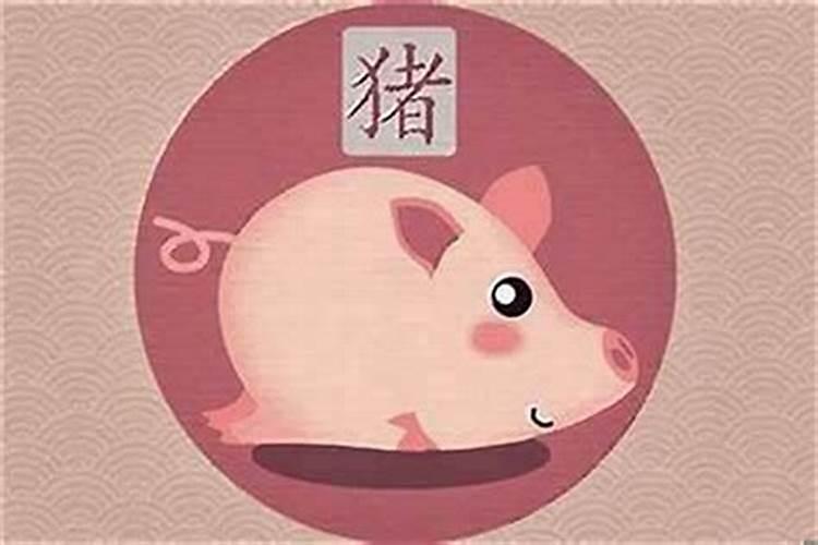 属猪的八月运程如何？