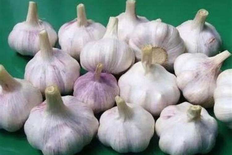 梦见卖大蒜头是什么意思？