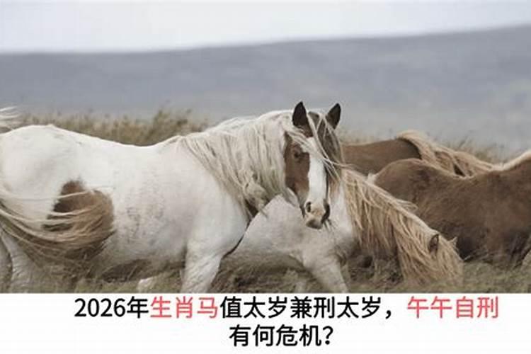 马和马午午自刑婚姻不顺吗？