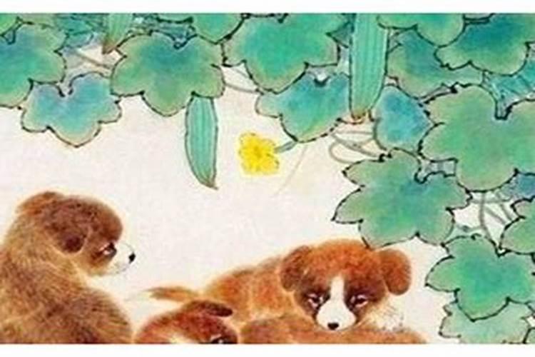 狗与牛属相婚配好吗？