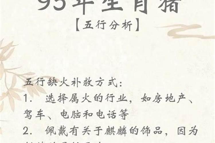 1995属猪女人2026年运势运程