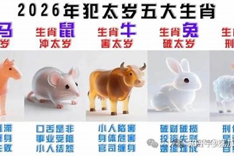 鸡年哪个生肖的犯太岁？