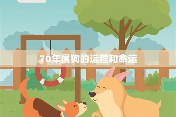 70年狗女运程如何？