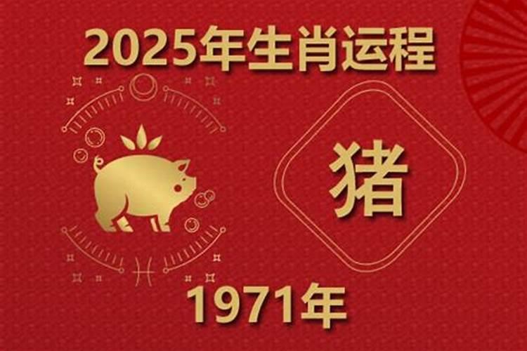 1971年猪在今年的运程