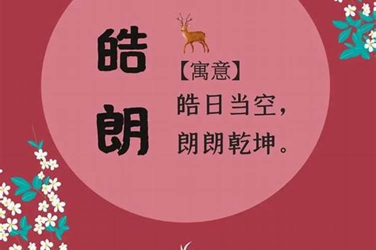 卖电子产品取什么名好听？