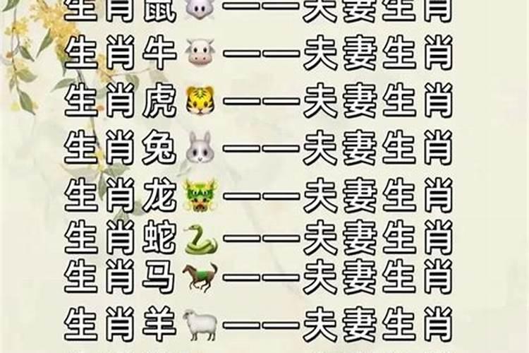 属牛人和属兔人合婚吗？