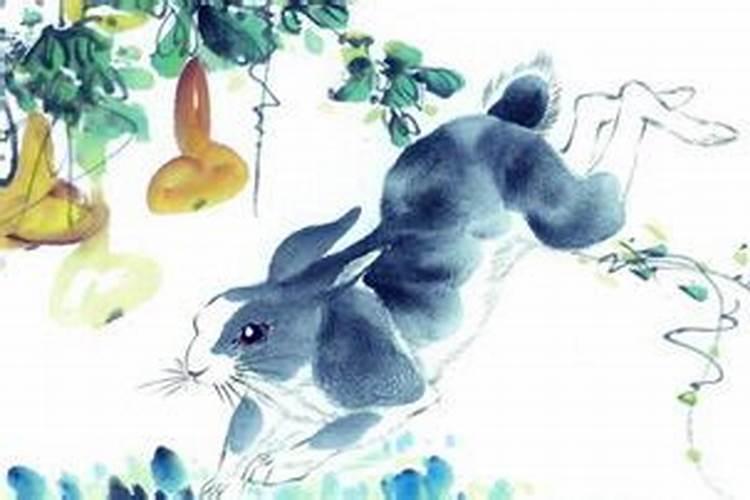 兔人鸡年感情运势如何？