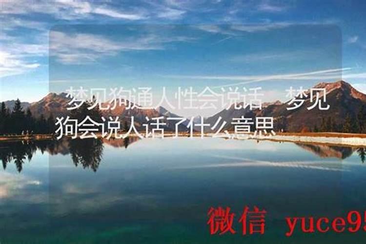 梦见狗说人话什么意思？