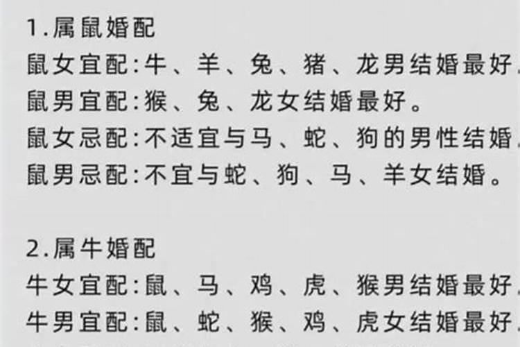 女属狗与属蛇男八字合吗？