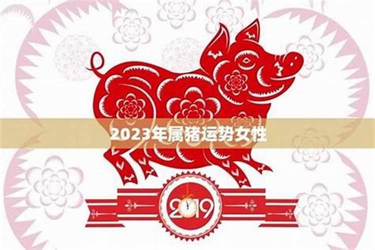 属猪女性2026年运势如何？