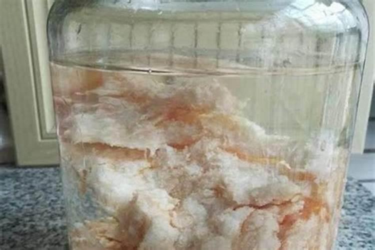 太岁水可以治病吗？