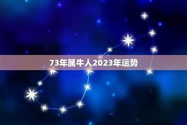 1973年女性2026年运势