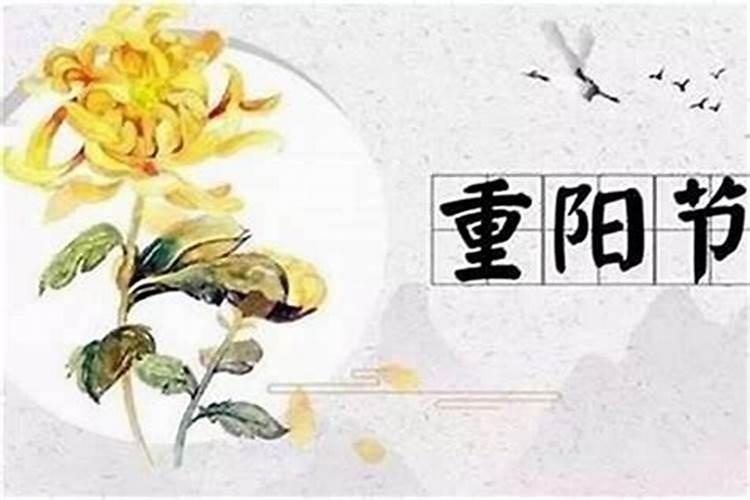重阳节用上坟吗？