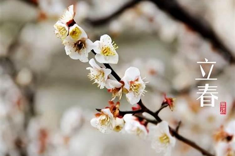 立春春节风俗