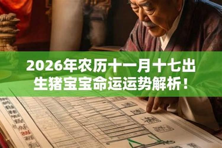 2026年农历出生的猪宝宝的运程