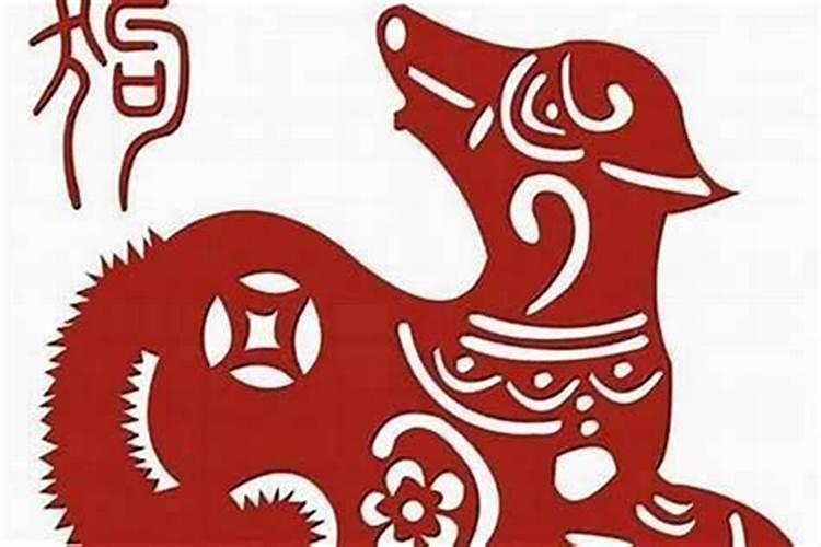 男小龙女狗是能合婚吗？