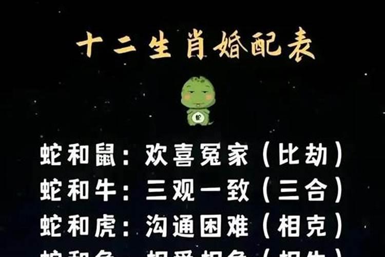 94年狗和91年羊合婚吗？