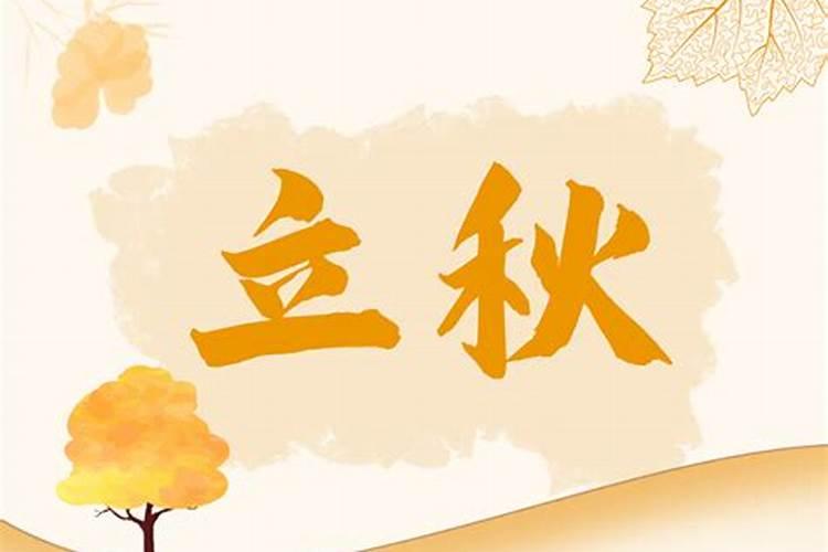 立秋和赵东方相认是哪节？