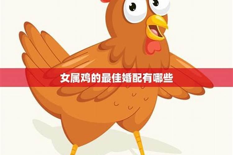 腊月属鸡女的命运与婚姻