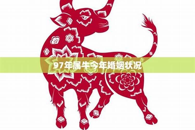 97牛男今年婚姻运程