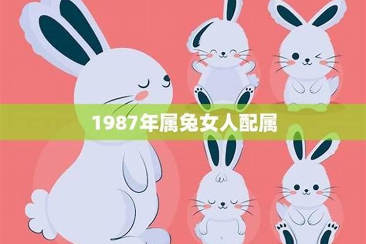 1987年兔子在2026年的运程
