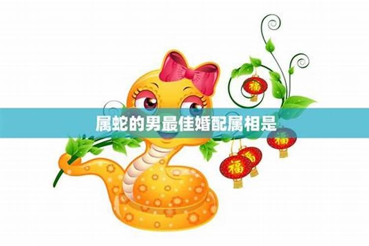 男蛇婚配哪个属相最好？