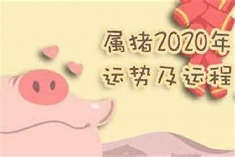 1971年出生2026年运势