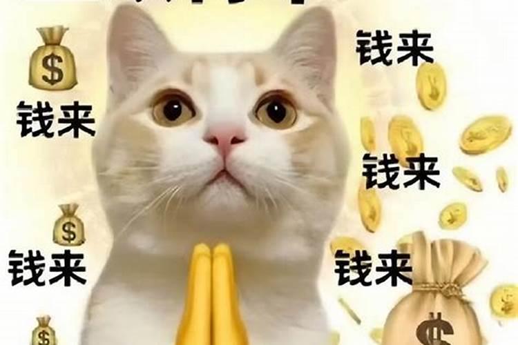 财来财去是什么意思？