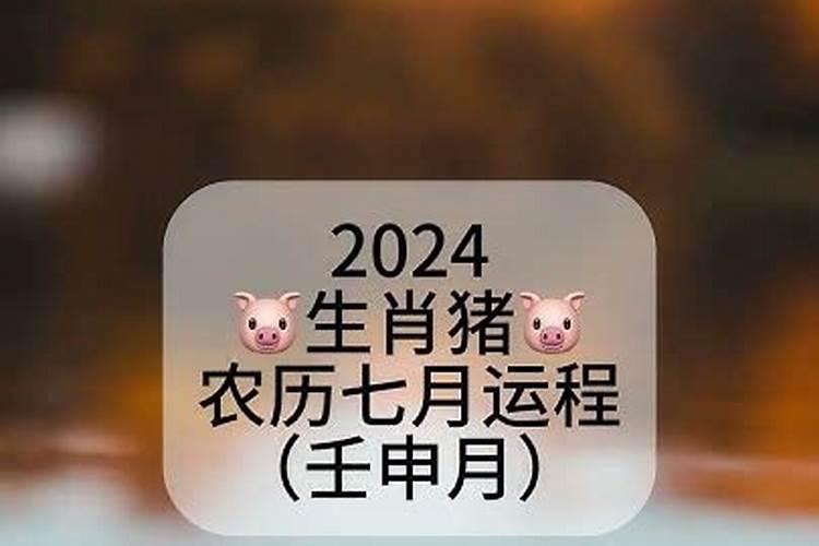 猪今年农历7月初2运程