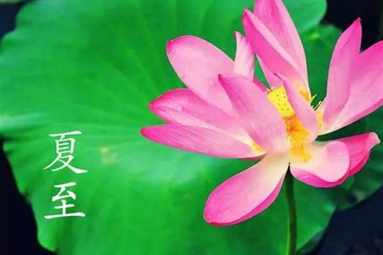 夏至出生好吗？