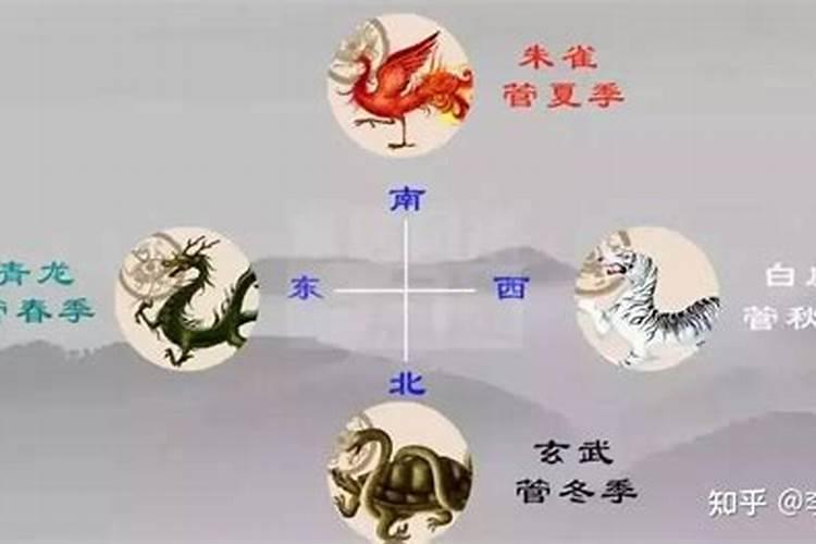 白虎太岁如何化解？