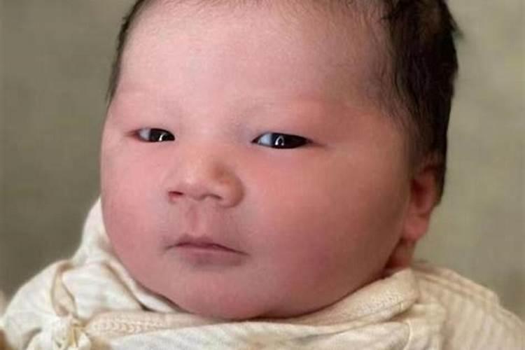 小孩子取名李嘉什么最好听？