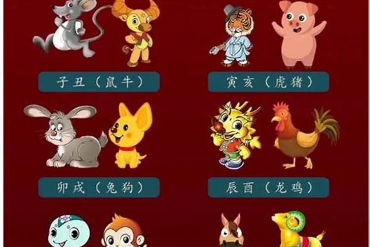 算八字猪与什么生肖合？