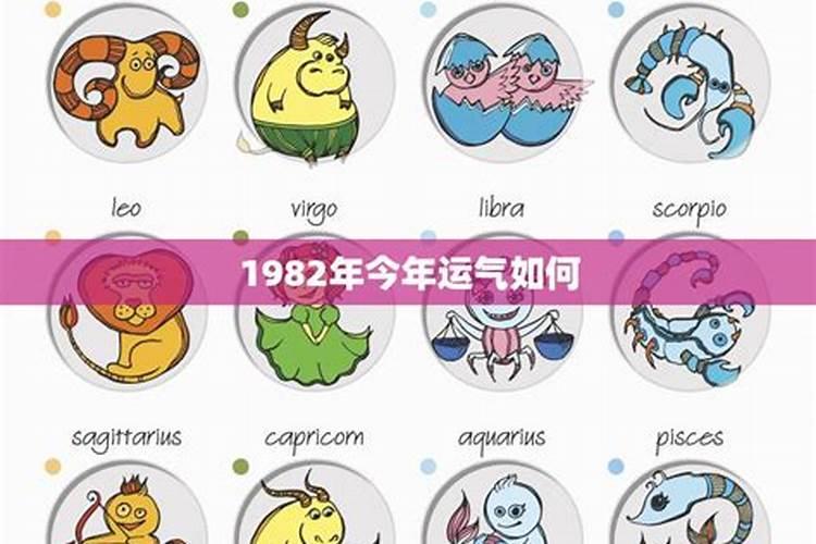 1982出生的人今年运势如何？