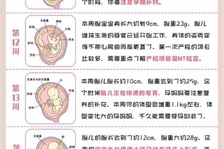 为胎儿做法事