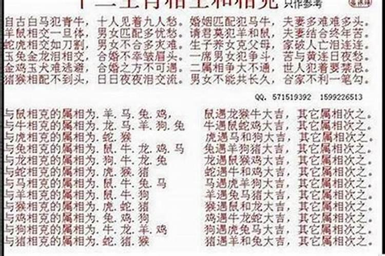 女龙男狗属合婚吗？