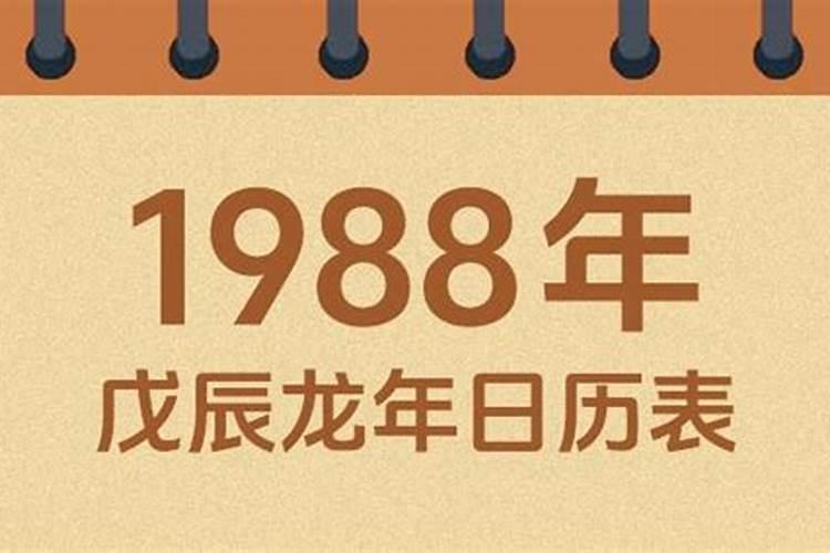 1988龙年农历腊月出生