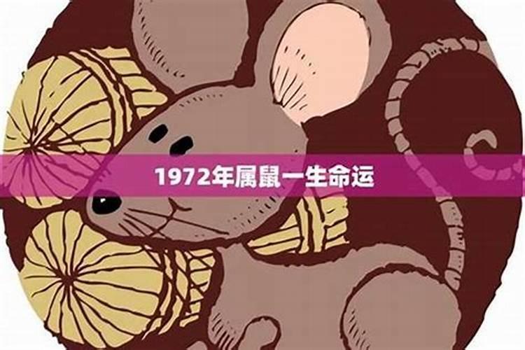 72年出生一生运程