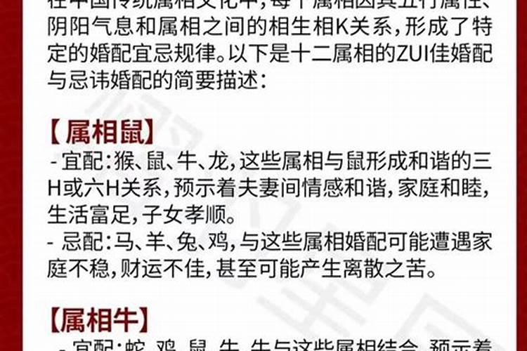 属牛男和属马女合婚吗？