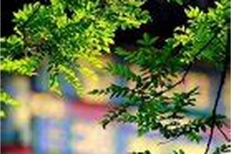 立夏出生的男孩好不好？