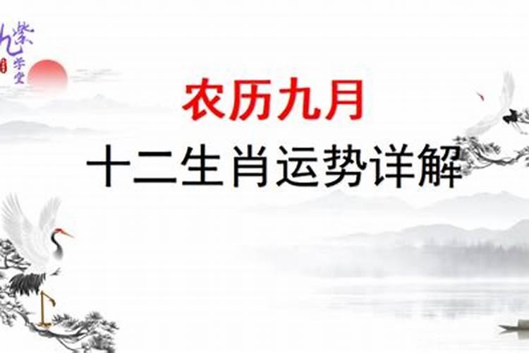 农历1962年九月十二出生运程