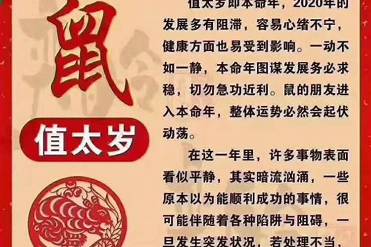 属相害太岁是什么意思？