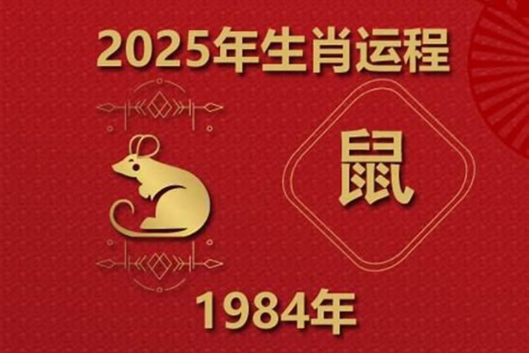 1984鼠在2026年运程