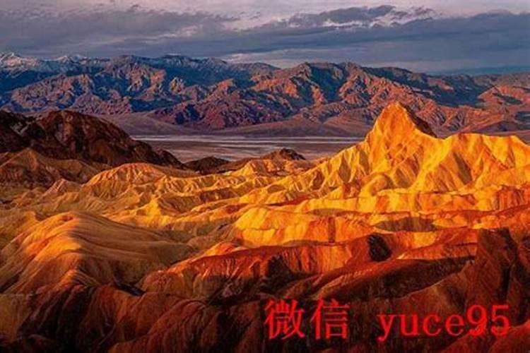 怎样算卦又简单又准看手相的？