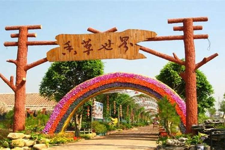 清明节去哪里玩广州？