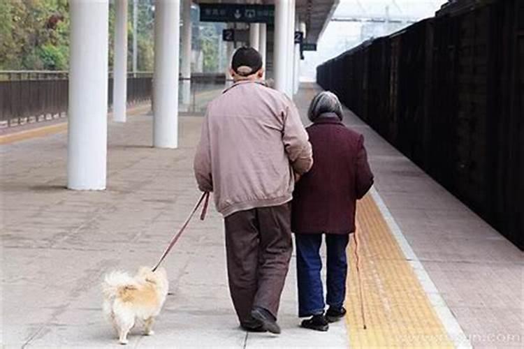 梦见死去的爷爷抱自己的孩子