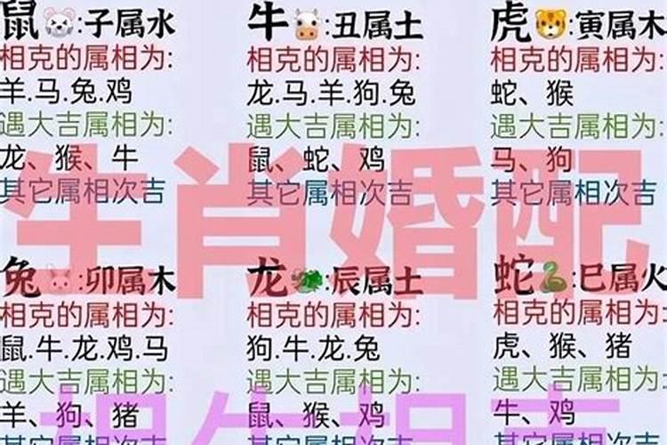 属相龙和猪婚配可以吗？