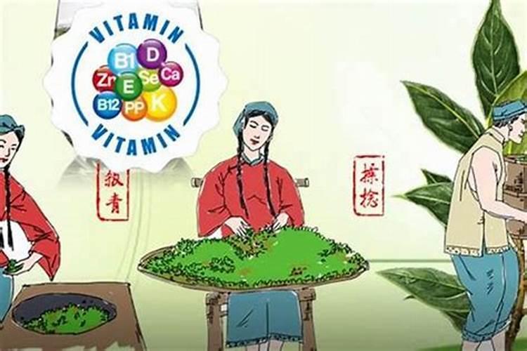 虎年犯太岁家里适合放些什么植物？