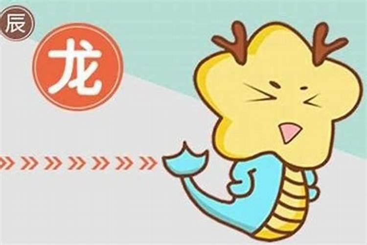 属龙和属狗是不是八字不合？